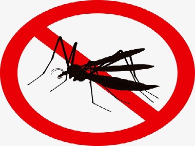 佛山杀虫公司夏天怎么避免蚊子叮咬