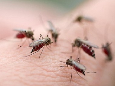 和顺除虫灭蚊中心常用的灭蚊子的办法有哪些