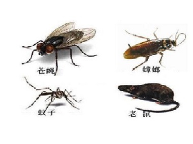 禅城虫害防治没有看到害虫，有必要定期防治四害吗？