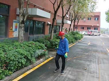 顺德病媒生物防控中心怎样做好绿化带蚊蝇防治
