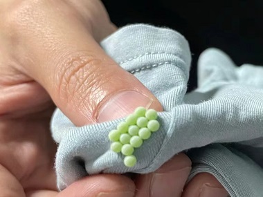 禅城四害消杀站：如何彻底消灭臭虫？