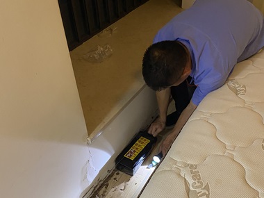 南海验收白蚁公司5个实用技巧，拒绝白蚁找上门